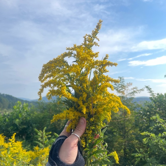 Meet your Posher, Dré 🖤 - Picture 8 of 8